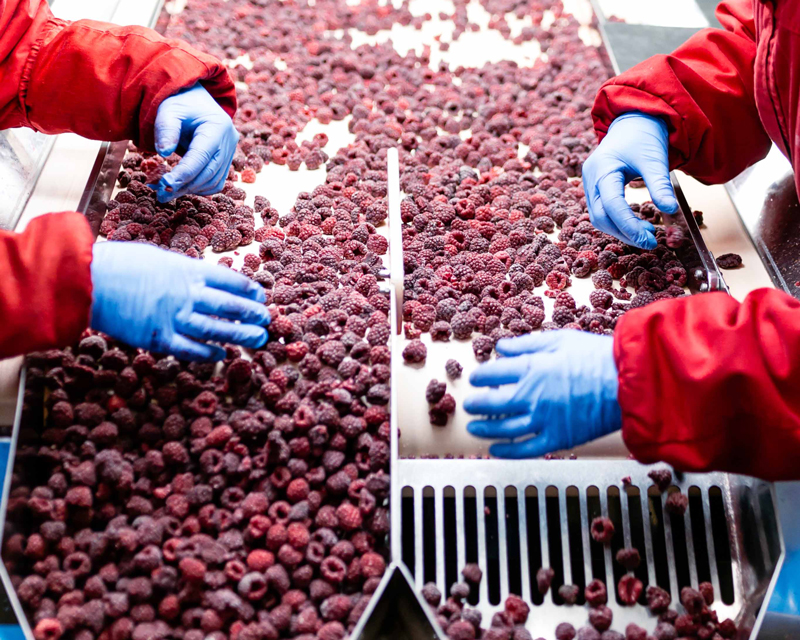 Formación seguridad alimentaria